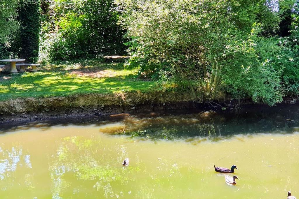 Tout Le Confort Au Milieu D'Un Parc Botanique Noyal-Muzillac Exterior foto